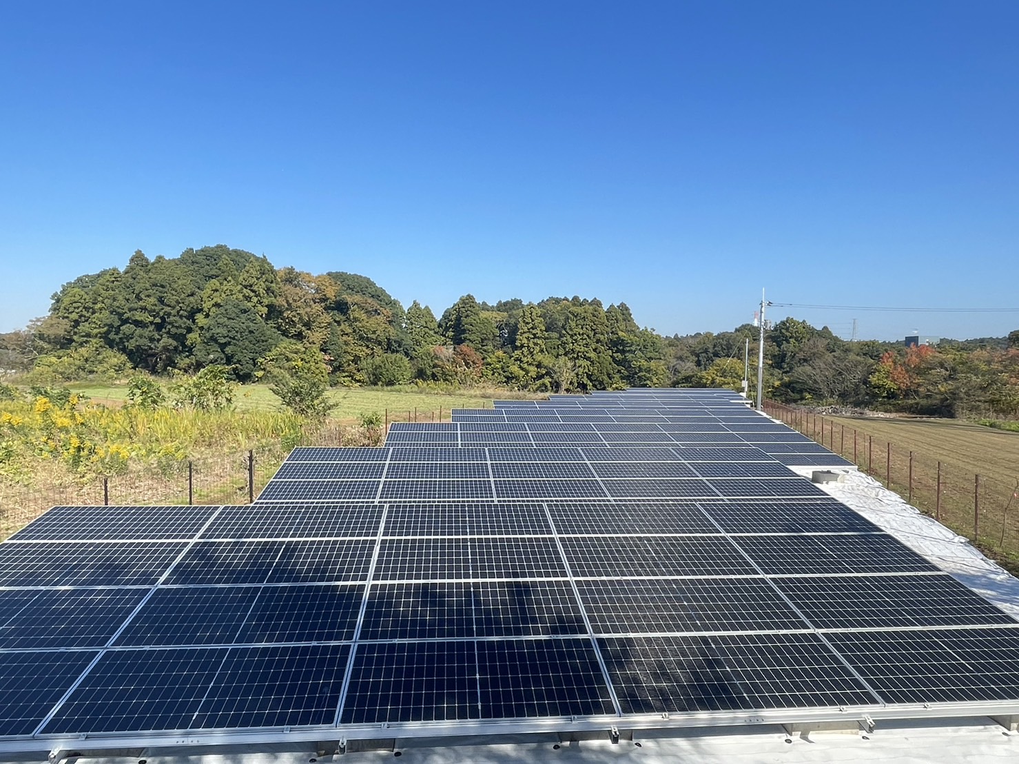 【自社案件】千葉市第三太陽光発電所　完工
